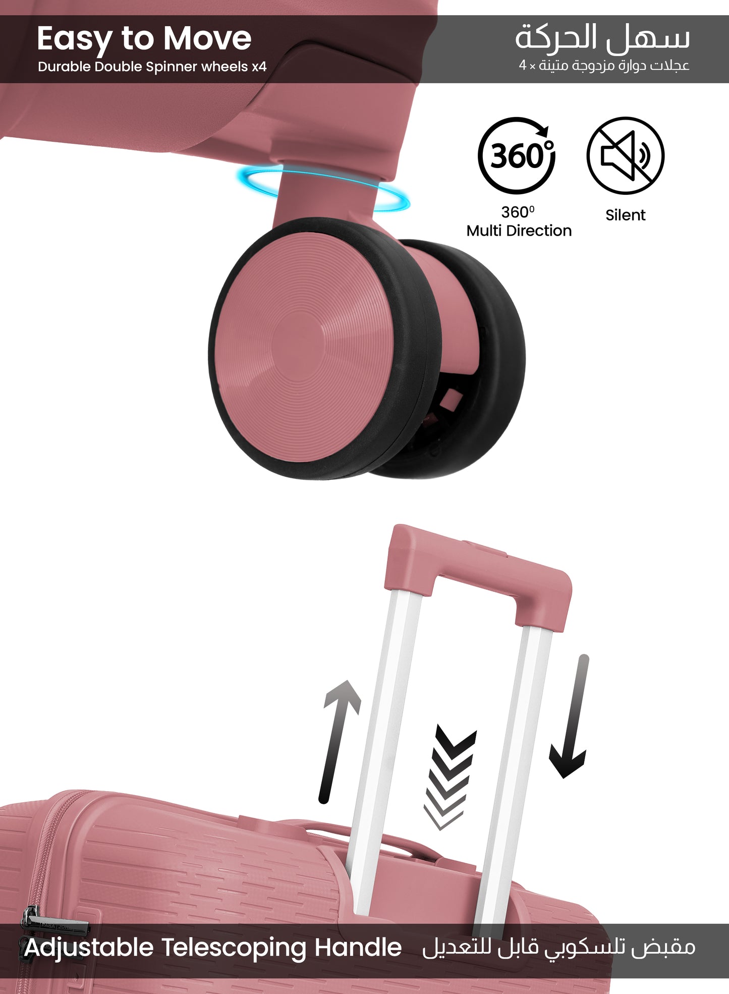 Parajohn Skyline Series Set of 2 Polypropylene 10KG+30KG  Premium Luggage Set