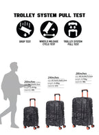Parajohn EmberTrail ABS Set of 3 Luggage | Lightweight Small 10KG, Medium 20KG & Large 30KG 8 Wheels Trolley Hardsided Travel Suitcase  PARAJOHN UAE