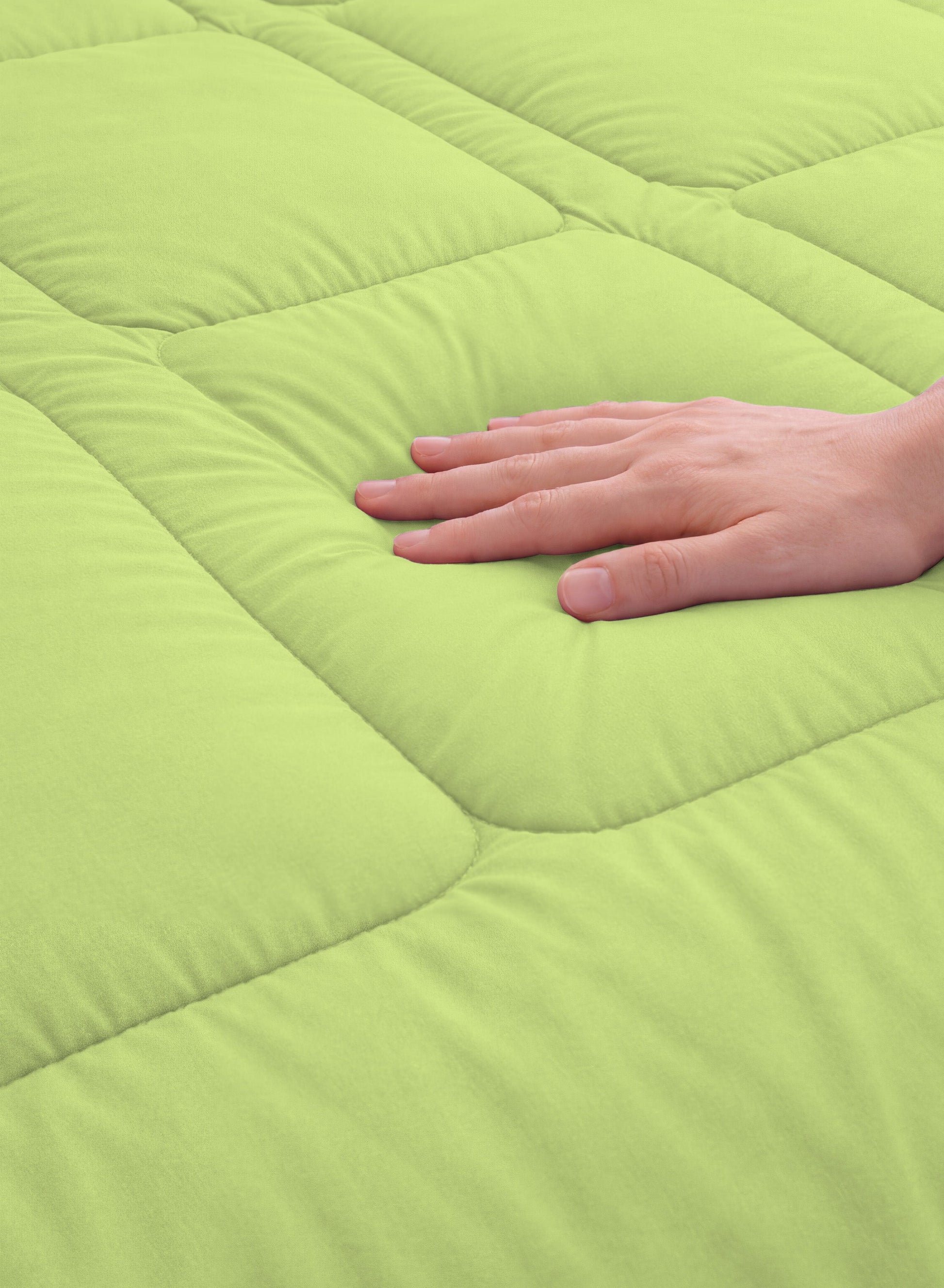 Parajohn Parry Life Comforter — Ultra Soft Warm Bedding | Microfiber, 220×240 cm  PARAJOHN UAE