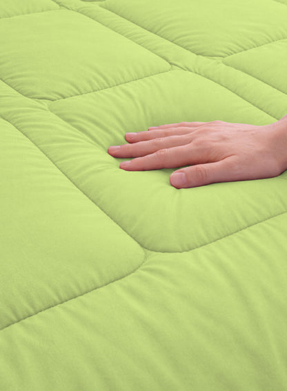 Parajohn Parry Life Comforter — Ultra Soft Warm Bedding | Microfiber, 220×240 cm  PARAJOHN UAE