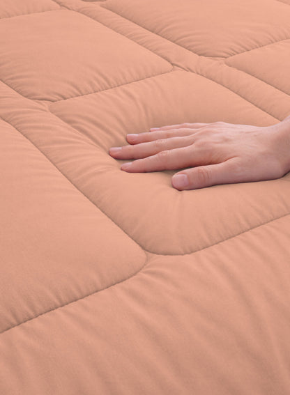 Parajohn Parry Life Comforter — Ultra Soft Warm Bedding | Microfiber, 220×240 cm  PARAJOHN UAE