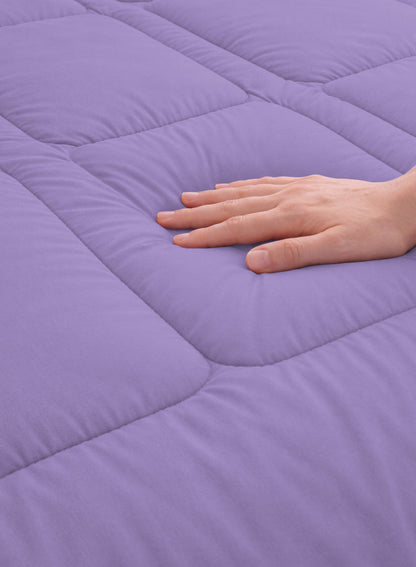 Parajohn Parry Life Comforter — Ultra Soft Warm Bedding | Microfiber, 220×240 cm  PARAJOHN UAE