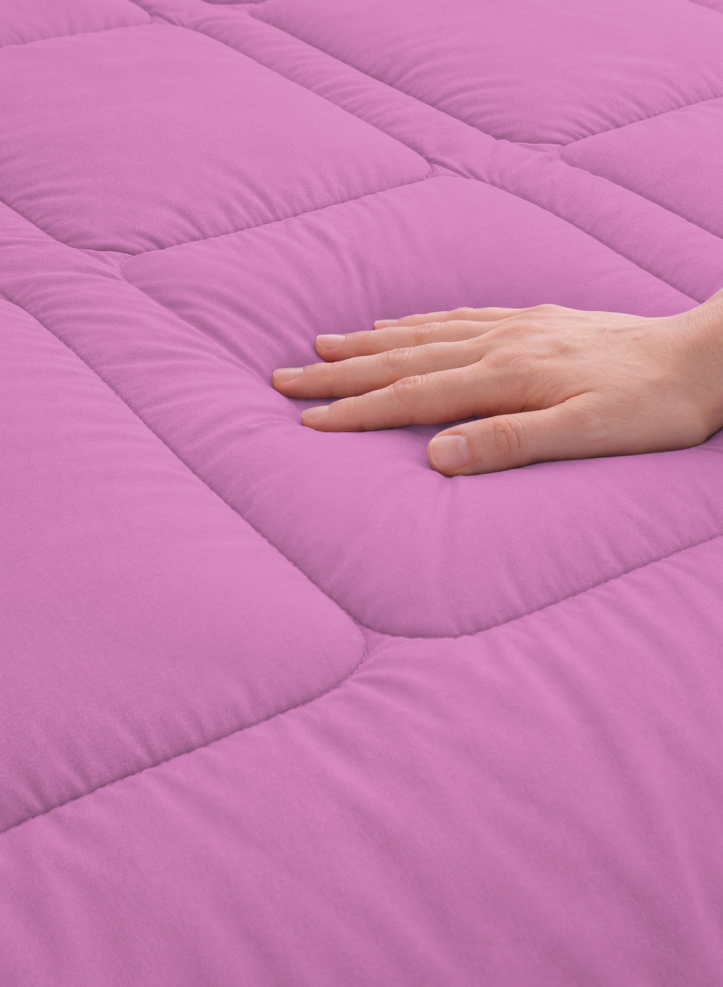 Parajohn Parry Life Comforter — Ultra Soft Warm Bedding | Microfiber, 220×240 cm  PARAJOHN UAE
