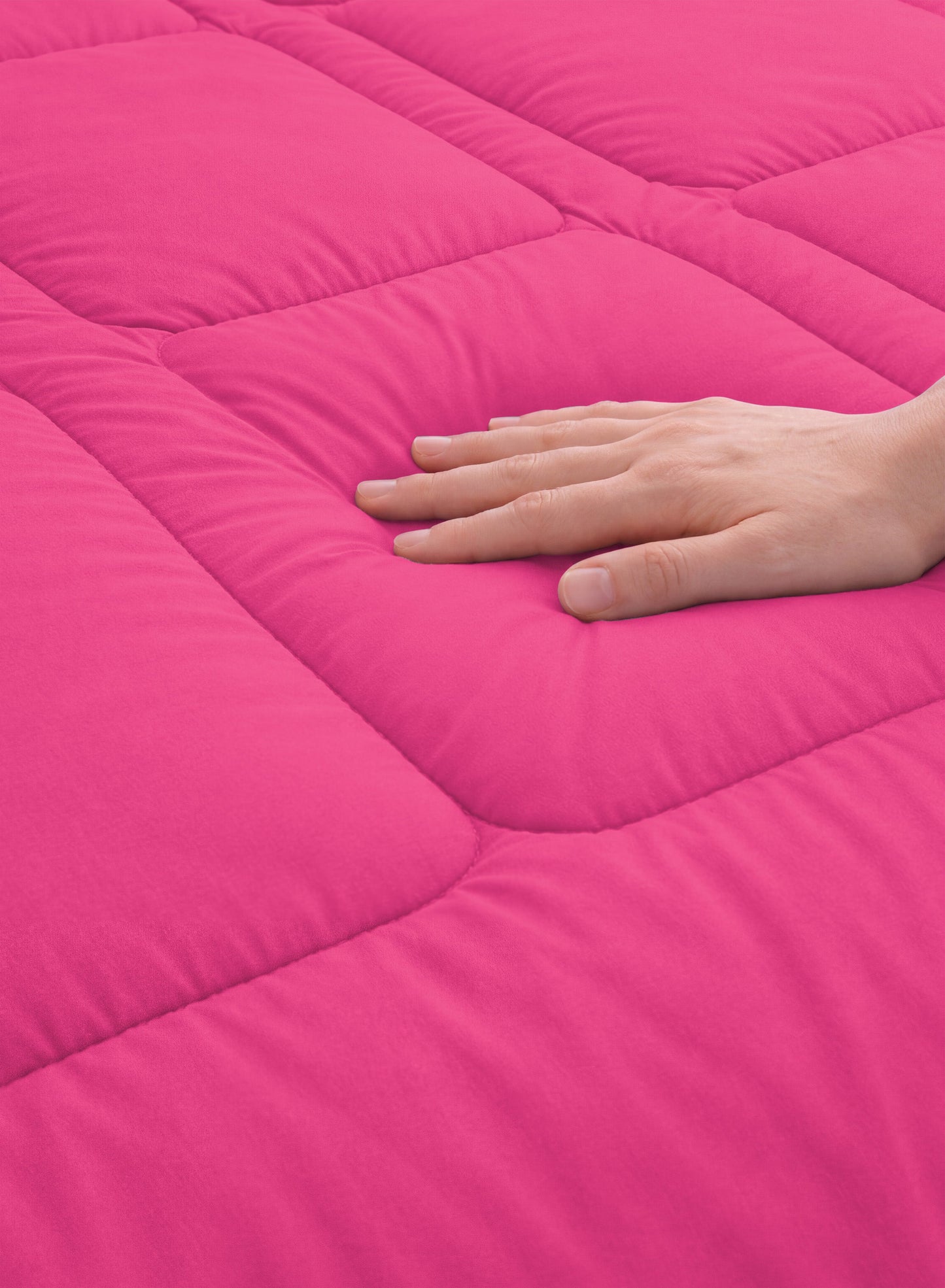Parajohn Parry Life Comforter — Ultra Soft Warm Bedding | Microfiber, 220×240 cm  PARAJOHN UAE