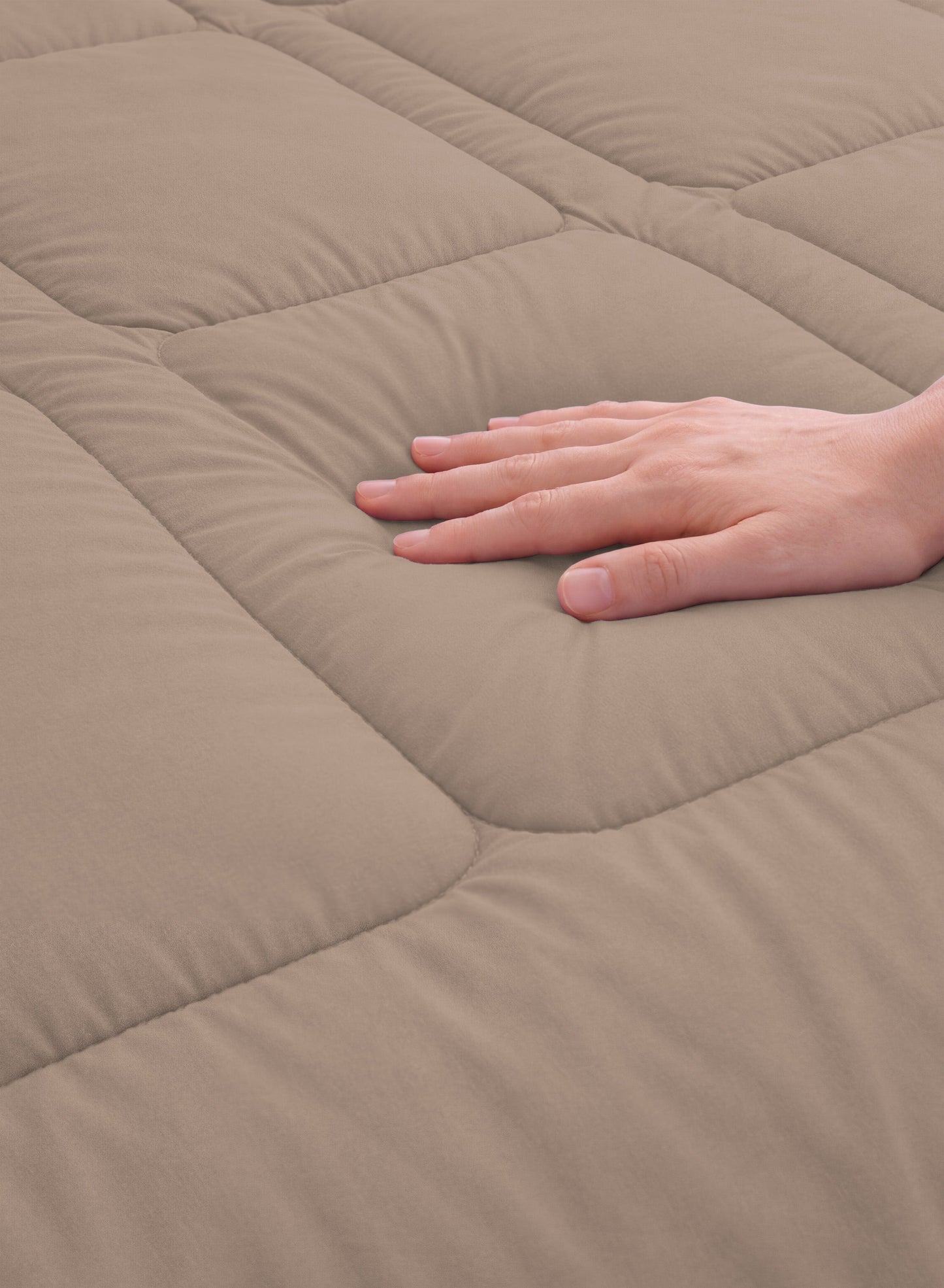 Parajohn Parry Life Comforter — Ultra Soft Warm Bedding | Microfiber, 220×240 cm  PARAJOHN UAE