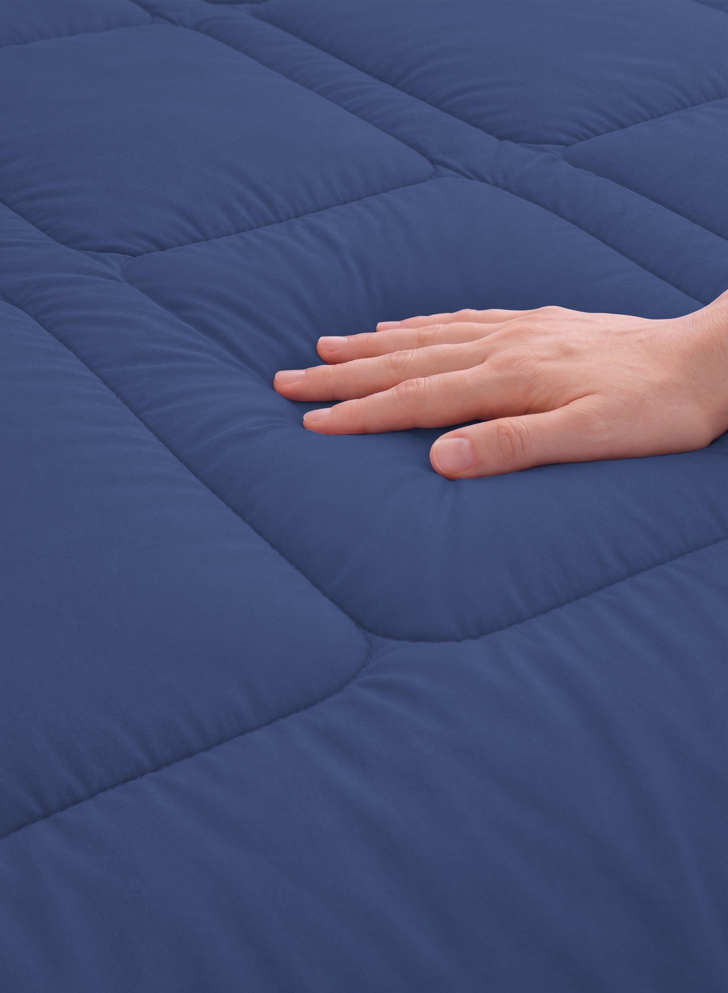 Parajohn Parry Life Comforter — Ultra Soft Warm Bedding | Microfiber, 220×240 cm  PARAJOHN UAE