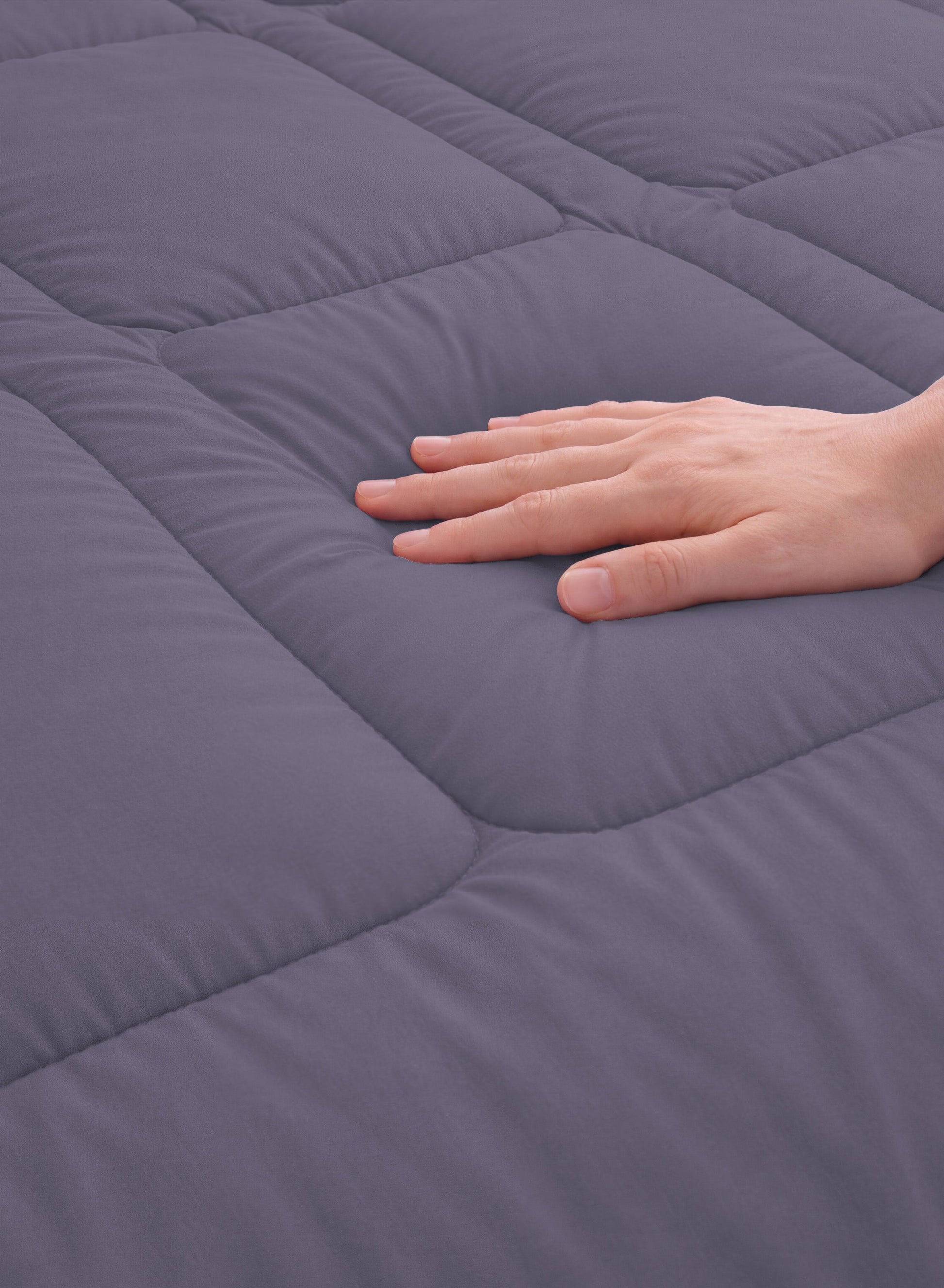 Parajohn Parry Life Comforter — Ultra Soft Warm Bedding | Microfiber, 220×240 cm  PARAJOHN UAE