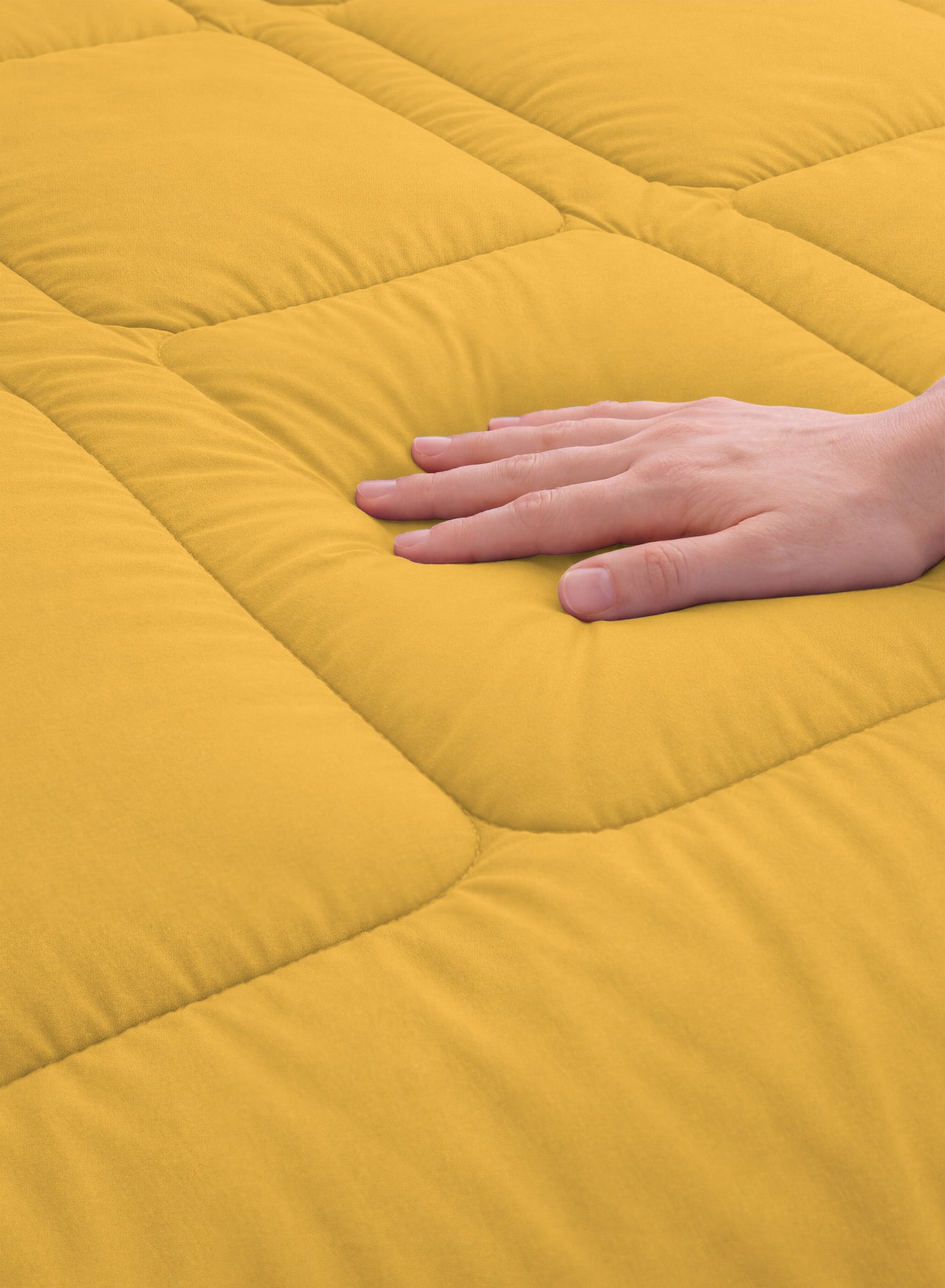 Parajohn Parry Life Comforter — Ultra Soft Warm Bedding | Microfiber, 220×240 cm  PARAJOHN UAE